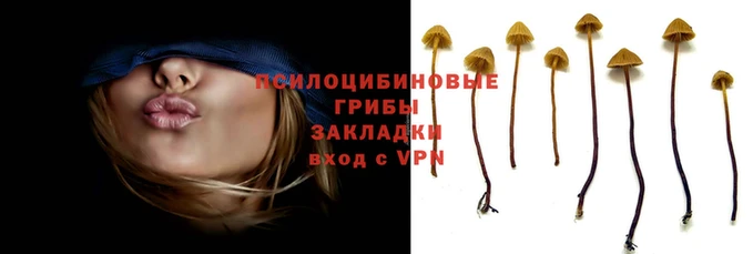 каннабис Беломорск
