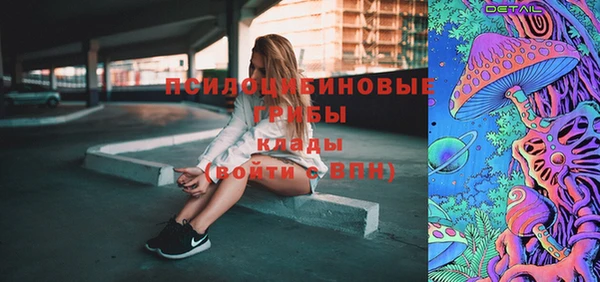 прущий лед Белокуриха