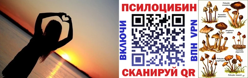Псилоцибиновые грибы мухоморы  mega зеркало  Мглин 