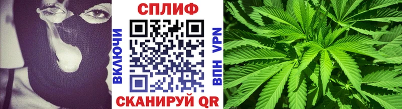 Бошки марихуана план Мглин